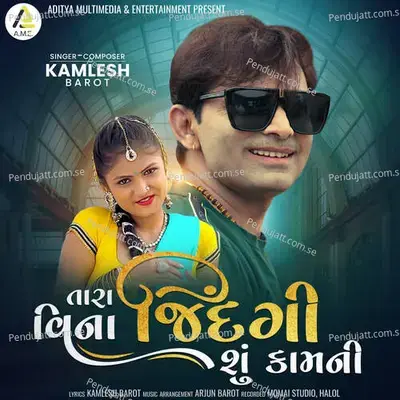 Tara Vina Zindgi Shu Kamni - Kamlesh Barot album cover 
