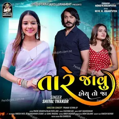 Tare Jaavu Hoy To Jaa - Shital Thakor album cover 