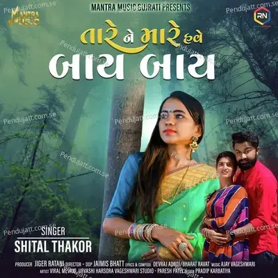 Tare Ne Mare Have Bye Bye - Shital Thakor album cover 