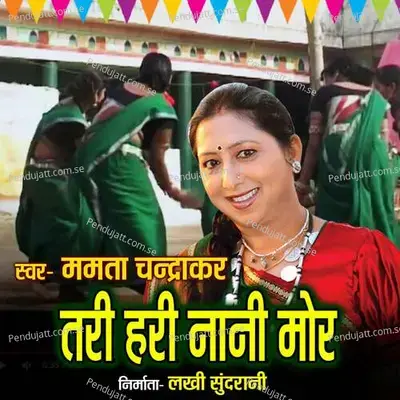 Tari Hari Nani Mor - Mamta Chandrakar album cover 