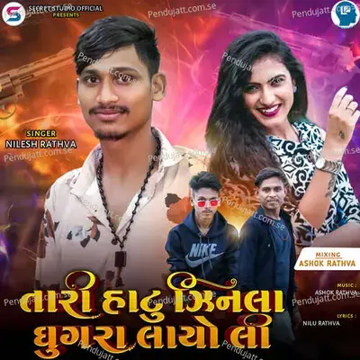 Tari Hatu Zinla Ghughara Layo Li - Nilesh Rathva album cover 