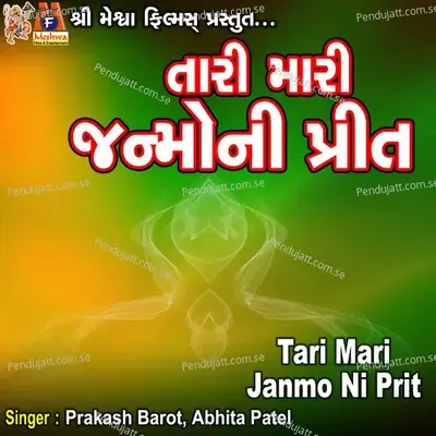 Tari Mari Janmo Ni Prit - Abhita Patel album cover 