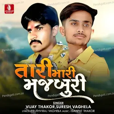 Tari Mari Majaburi - Vijay Thakor album cover 