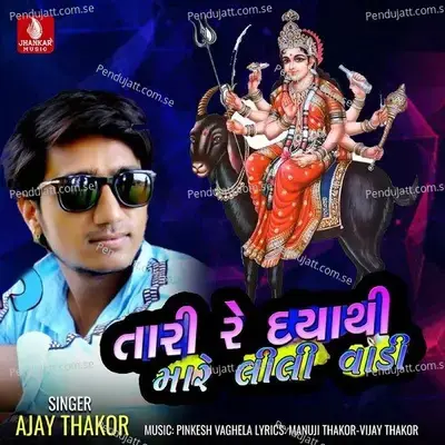 Tari Re Daya Thi Mare Lili Vadi - Ajay Thakor album cover 