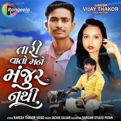 Tari Vato Mane Manjur Nathi - Vijay Thakor album cover 