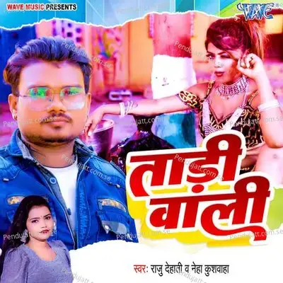 Tari Wali - Raju Dehati album cover 