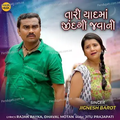 Tari Yaadmaa Zindagi Jaavani - Jignesh Barot album cover 