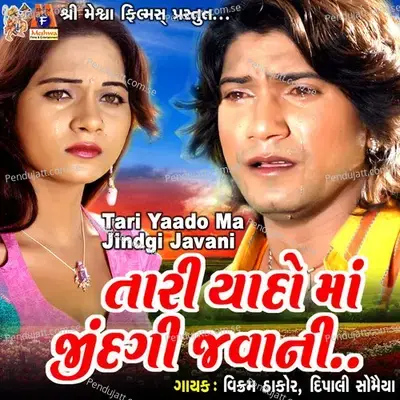 Tari Yaado Ma Jindgi Javani - Vikram Thakor album cover 