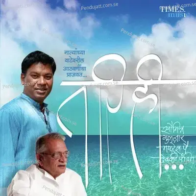 Tu Pahakta Maajhya Zhaad - Saumitra album cover 