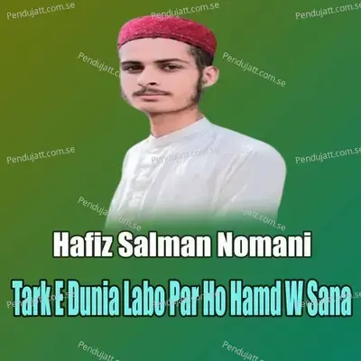 Tark E Dunia Labo Par Ho Hamd W Sana - Hafiz Salman Nomani album cover 