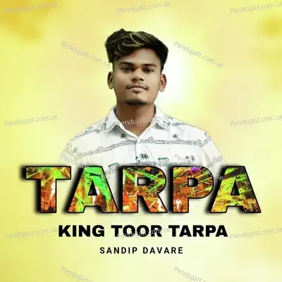 Tarpa King Toor Tarpa - Sandip Davare album cover 