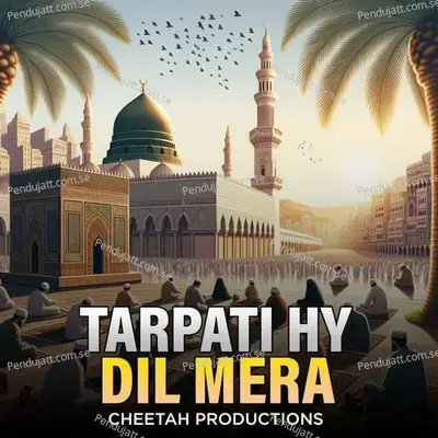 Tarpati Hy Dil Mera - Cheetah Productions album cover 