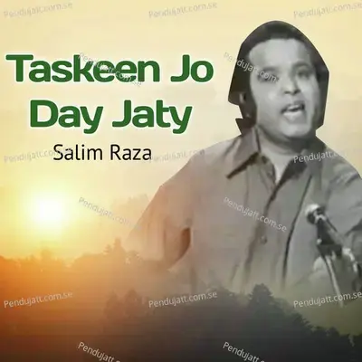 Jab Say Deka Hay Tujy - Salim Raza album cover 