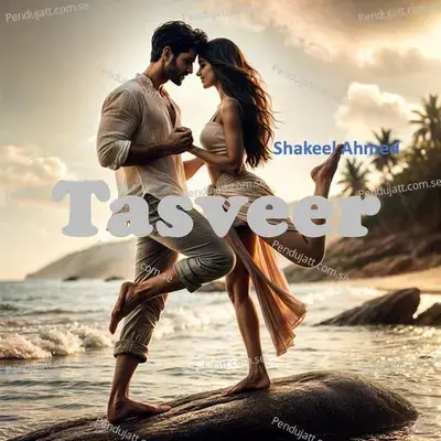 Tasveer - Shakeel Ahmed album cover 