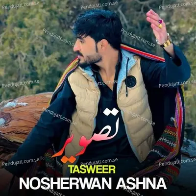 Tasweer - Nosherwan Ashna album cover 