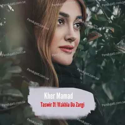 Taswir Di Wakhla Da Zargi - Kher Mamad album cover 