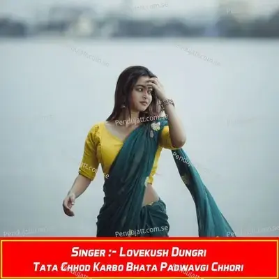 Tata Chhod Karbo Bhata Padwavgi Chhori - Lovekush Dungri album cover 