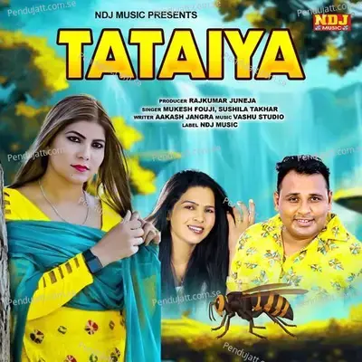 Tataiya - Mukesh Fouji album cover 