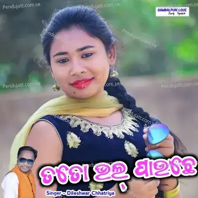 Tate Bhal Pauchhe - Dileshwar Chhatriya album cover 