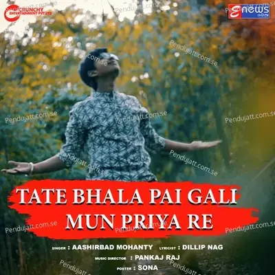 Tate Bhala Pai Gali Mun Priya Re - Aashirbad Mohanty album cover 