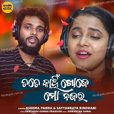 Tate Kahin Khoje Mo Nazara - Satyabrata Bindhani album cover 