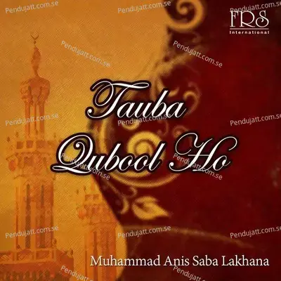 Ae Saba Mustafa Say Kehdena - 1 -  album cover 