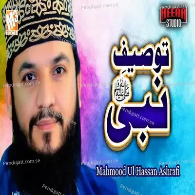 Tauseef E Nabi - Mahmood Ul Hassan Ashrafi album cover 