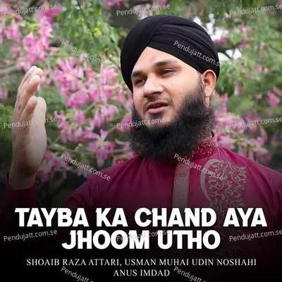 Tayba Ka Chand Aya Jhoom Utho - Shoaib Raza Attari album cover 