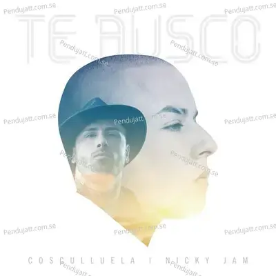 Te Busco - Cosculluela album cover 