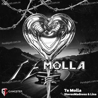 Te Molla - Stereomadness album cover 