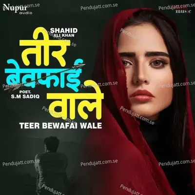 Teer Bewafai Wale - Shahid Ali Khan album cover 