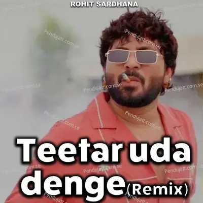 Teetar Uda Denge (Remix) - Rohit Sardhana