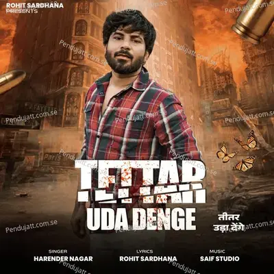 Teetar Uda Denge - Rohit Sardhana album cover 