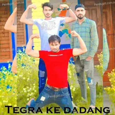 Tegra Ke Dadang - Tarik Aziz album cover 
