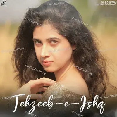 Tehzeeb-E-Ishq - Shivangi Bhayana album cover 