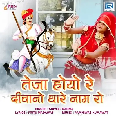 Teja Hoyo Re Deewano Thare Naam Ro - Shivlal Narma album cover 