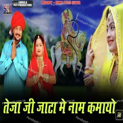 Teja Ji Jata Me Naam Kamayo - Raju Swami album cover 