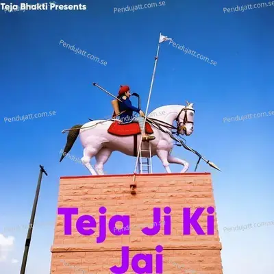 Teja Ji Ki Jai - Meeta Baroda album cover 