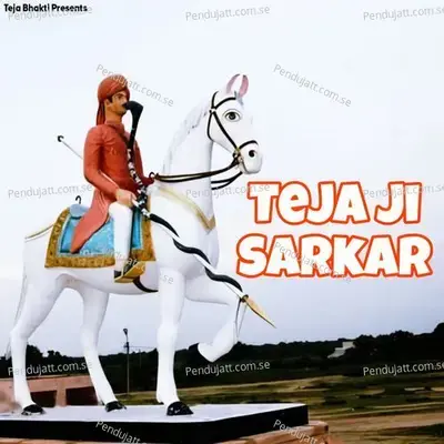 Teja Ji Sarkar - Meeta Baroda album cover 