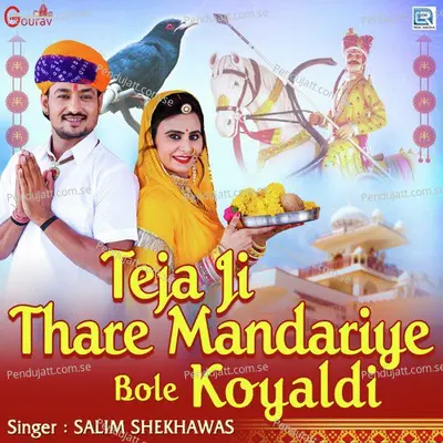 Teja Ji Thare Mandiriye Bole Koyaladi - Salim Shekhawas album cover 