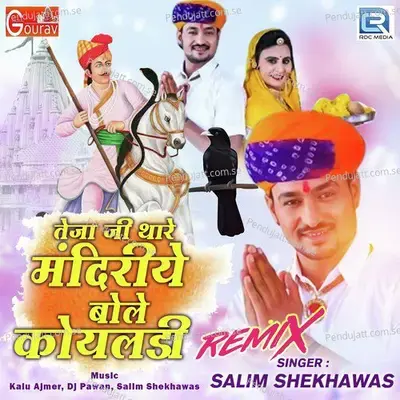 Teja Ji Thare Mandiriye Bole Koyaladi Remix - Salim Shekhawas album cover 