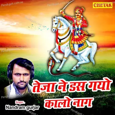 Teja Ne Das Gayo Kalo Naag - Nandram Gurjar album cover 