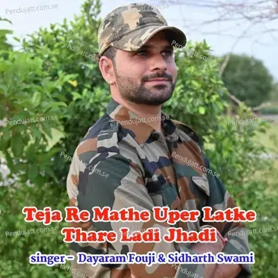 Teja Re Mathe Uper Latke Thare Ladi Jhadi - Dayaram Fouji album cover 