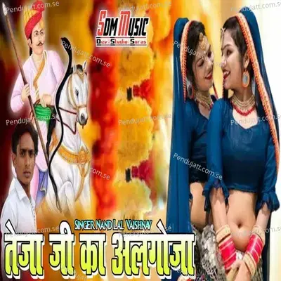 Tejaji Ka Algoja - Nandlal Vaishnav album cover 