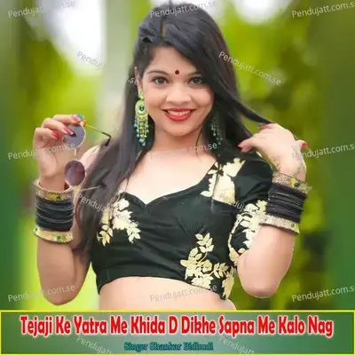 Tejaji Ke Yatra Me Khida D Dikhe Sapna Me Kalo Nag - Shankar Bidhudi album cover 