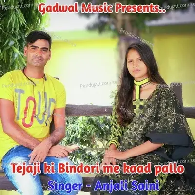 Tejaji Ki Bindori Me Kaad Pallo - Anjali Saini album cover 