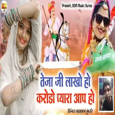 Tejaji Lakho Ho Karodo Pyara Aap Ho - Narayan Gurjar album cover 