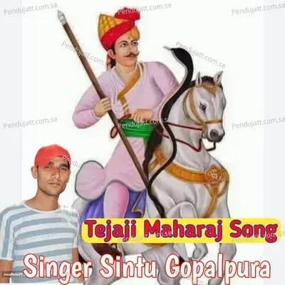 Tejaji Maharaj Song - Sintu Gopalpura album cover 