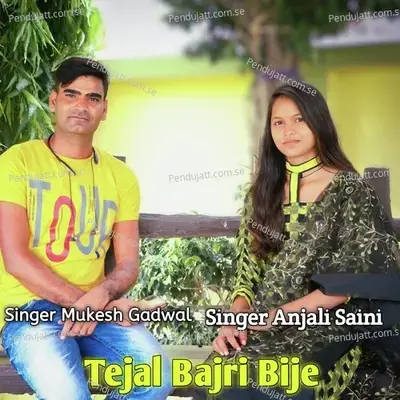 Tejal Bajri Bije - Mukesh Gadwal album cover 