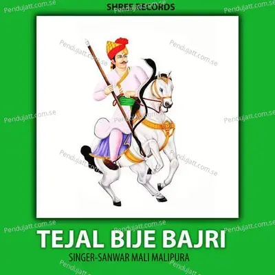 Tejal Bije Bajri - SANWAR MALI MALIPURA album cover 